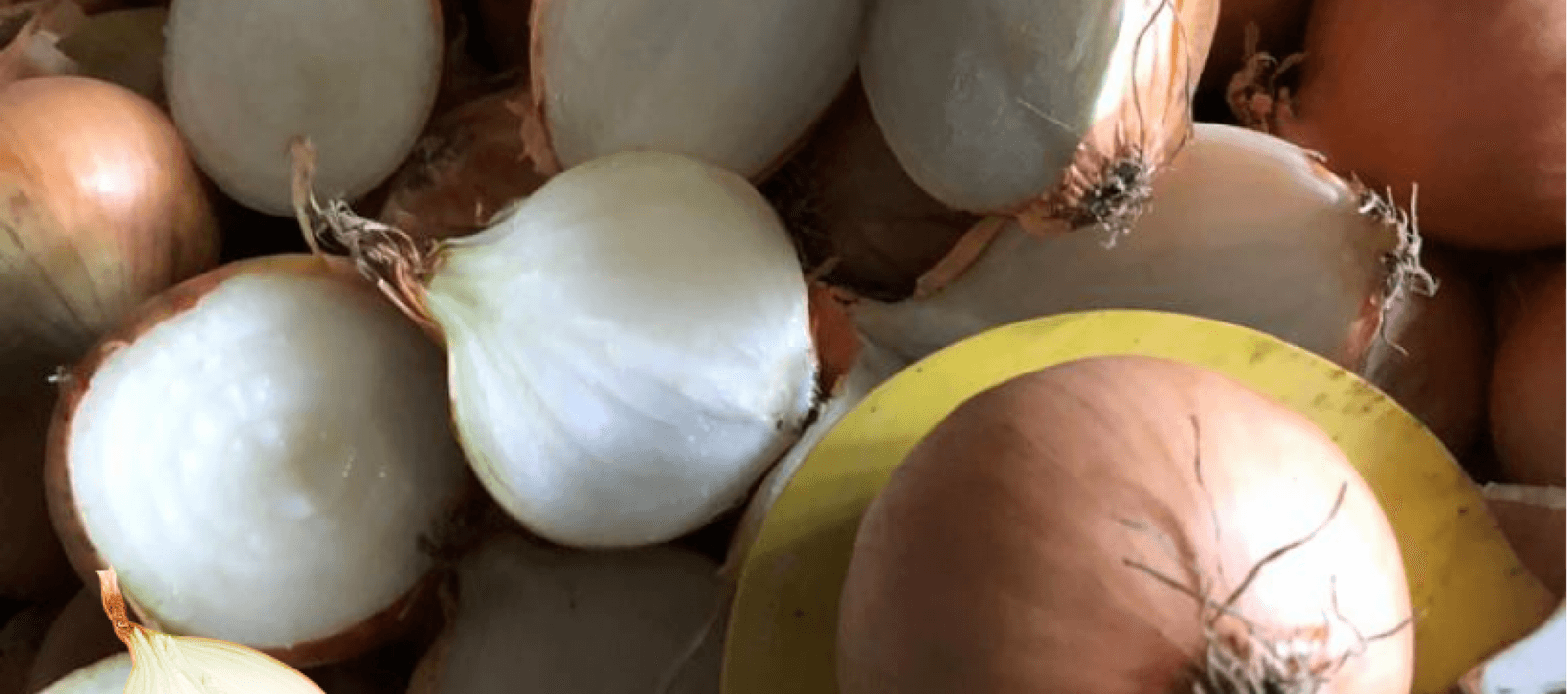 Raw Material all year round