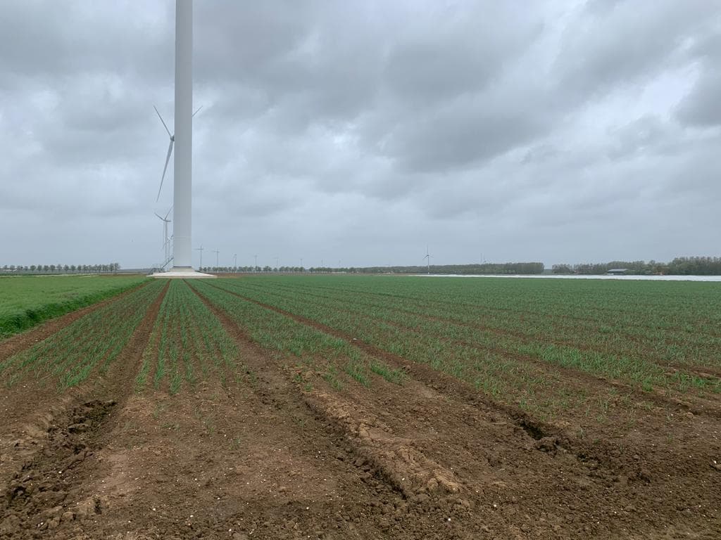 The visit to the supplier from the Netherlands continued